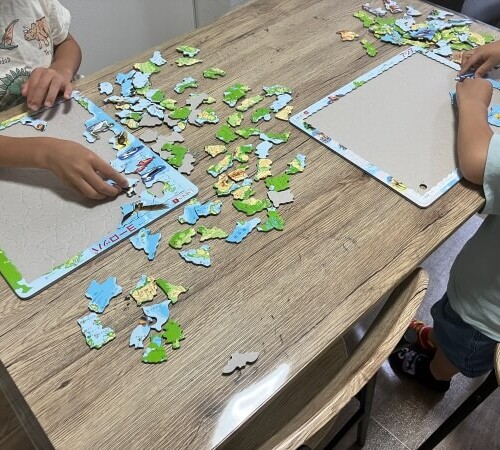 男の子２人が世界地図のパズルで遊んでいます。
